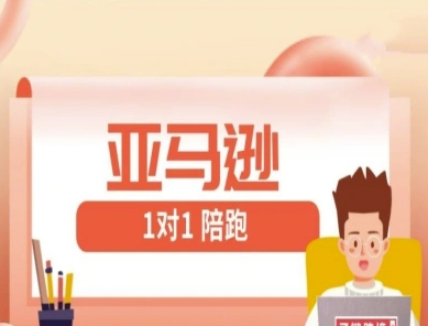 亚马逊1对1陪跑课(FBA/FBM精铺)跨境亚马逊教程-优优云网创