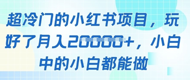 超冷门的小红书项目，玩好了月入过1w，小白中的小白都能做-优优云网创