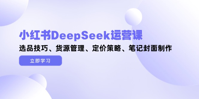 （14748期）小红书DeepSeek运营课，选品技巧、货源管理、定价策略、笔记封面制作-优优云网创