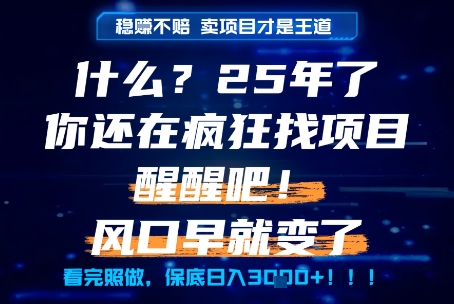什么？25年你还在疯狂找项目做，醒醒吧，看完这些你全都懂了！【揭秘】-优优云网创