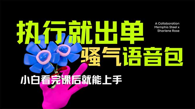 （14170期）爆火全网的开车导航骚气语音包,只要执行就出单，小白看完课程就能实操…-优优云网创