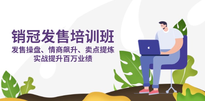 （14203期）销冠 发售培训班：发售 操盘+情商 飙升+卖点 提炼，实战提升百万业绩-优优云网创