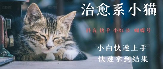拆解，疯狂火爆！抖音，小红书，视频号小猫治愈的视频，轻松制作+快速拿到结果-优优云网创
