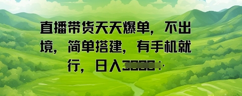 直播带货天天爆单，不出境，简单搭建，有手机就行，日入多张-优优云网创