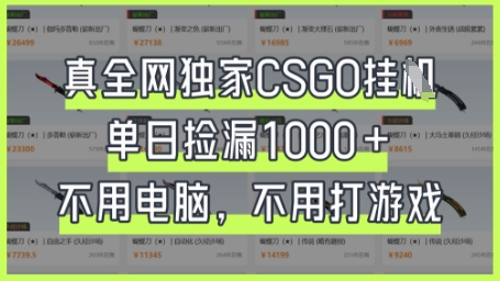 真全网独家CSGO挂G，单日捡漏1k+【揭秘】-优优云网创