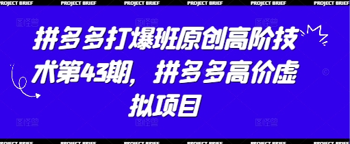 拼多多打爆班原创高阶技术第43期，拼多多高价虚拟项目-优优云网创