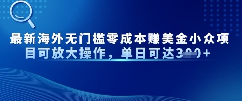 最新海外无门槛美金小众项目可放大操作，单日可达3张-优优云网创