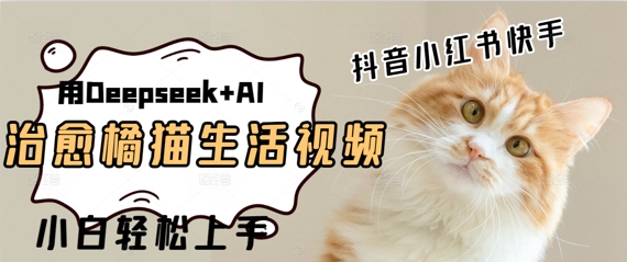 疯狂火爆，用Deepseek+AI做治愈橘猫系列视频，小白轻松制作+快速拿到结果-优优云网创