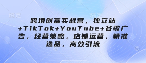 跨境创富实战营，独立站+TikTok+YouTube+谷歌广告，经营策略，店铺运营，精准选品，高效引流-优优云网创