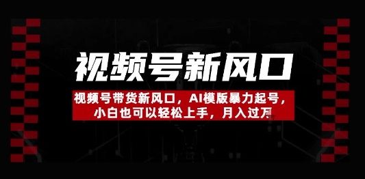 视频号带货新风口，AI模版暴力起号，小白也可以轻松上手，月入过W-优优云网创
