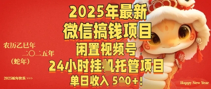 2025年最新微信搞钱项目，闲置视频号年24小时挂G托管项目，单日收入多张-优优云网创