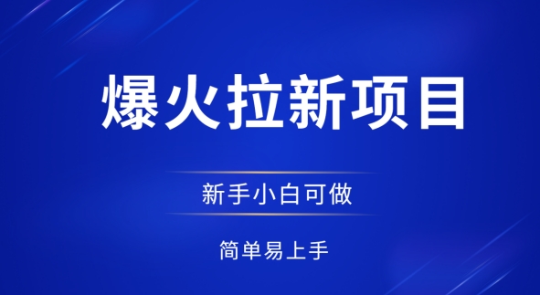 爆火拉新项目，有手就行，小白轻松入门，日入1张拉新整套流程-优优云网创