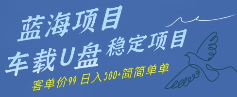 蓝海项目车载U盘稳定项目，挣的就是信息差，客单价99，日入几张简简单单-优优云网创