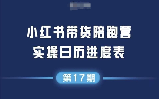 小红书第17期带货陪跑营，不囤货，无不直播，无不投流，通过选品+笔记内容+测品+笔记铺量+矩阵运营打爆款-优优云网创