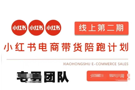 小红书电商带货课2期，月利润20个的小红书电商的有货源，无货源，虚拟产品，付费投流等整套玩法-优优云网创