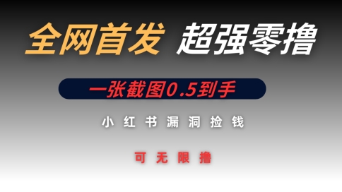 全网首发无限零撸捡钱项目，小红书一张截图0.5元可无限零撸-优优云网创