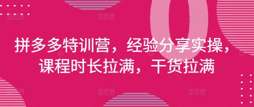拼多多特训营，经验分享实操，课程时长拉满，干货拉满(更新25年4月)-优优云网创