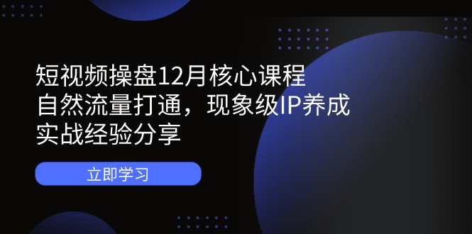 （14447期）短视频操盘12月核心课程：自然流量打通，现象级IP养成，实战经验分享-优优云网创