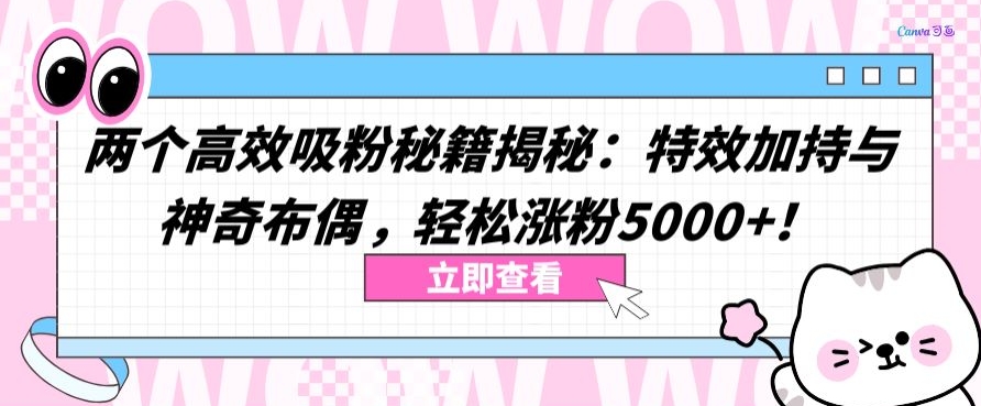 两个高效吸粉秘籍揭秘：特效加持与神奇布偶，轻松涨粉5000+-优优云网创