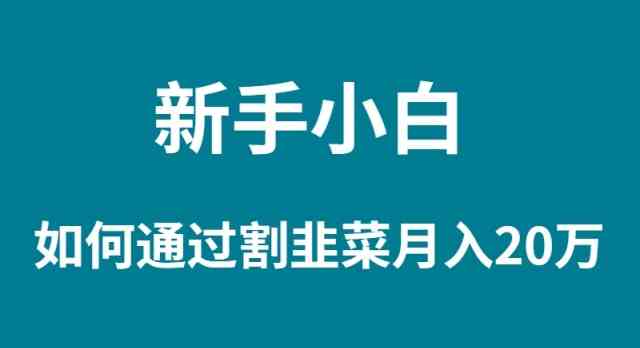 （9308期）新手小白如何通过割韭菜月入 20W-优优云网创