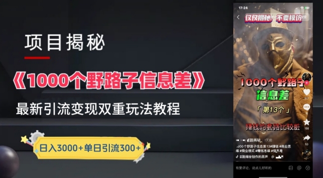 一千个野路子信息差最新玩法教程-变现+引流的玩法具体拆解-优优云网创