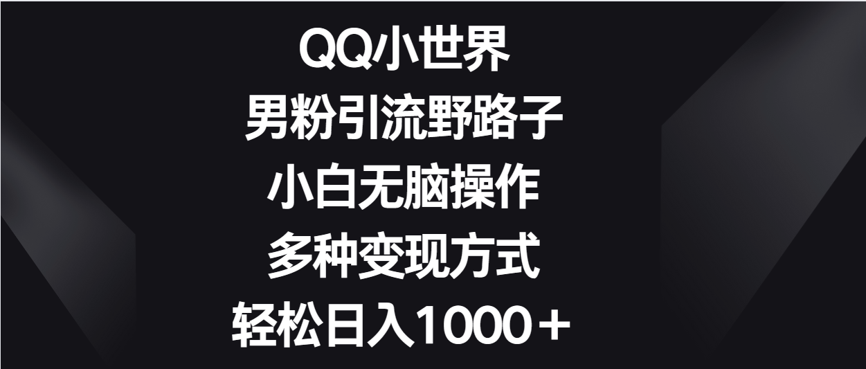 QQ小世界男粉引流野路子，小白无脑操作，多种变现方式轻松日入1000＋-优优云网创