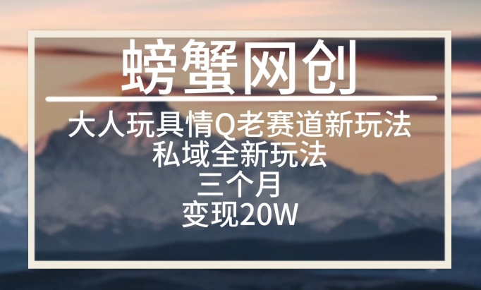 大人玩具情Q用品赛道私域全新玩法，三个月变现20W，老项目新思路-优优云网创