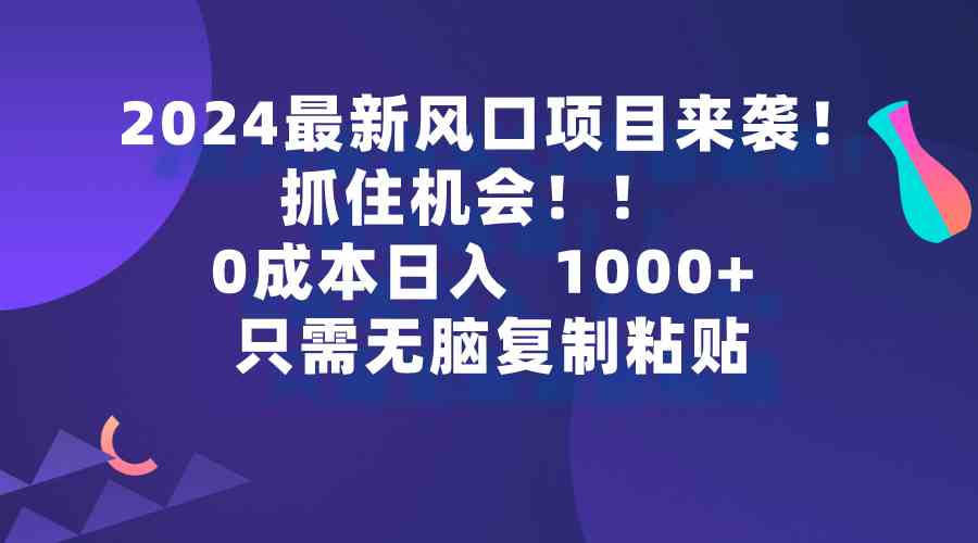 （9899期）2024最新风口项目来袭，抓住机会，0成本一部手机日入1000+，只需无脑复…-优优云网创