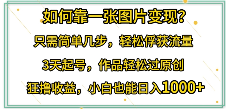 如何靠一张图片变现?只需简单几步，轻松俘获流量，3天起号，作品轻松过原创-优优云网创