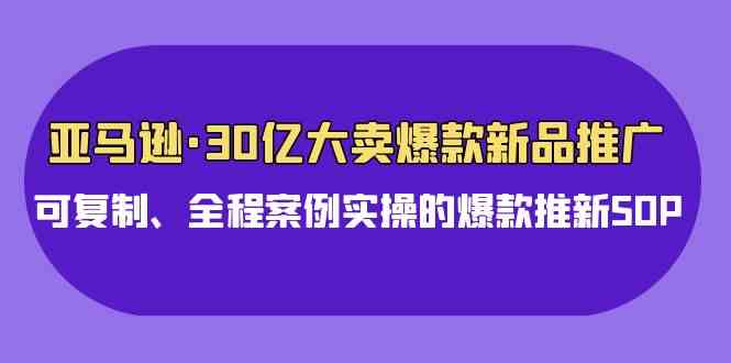 （9944期）亚马逊30亿·大卖爆款新品推广，可复制、全程案例实操的爆款推新SOP-优优云网创