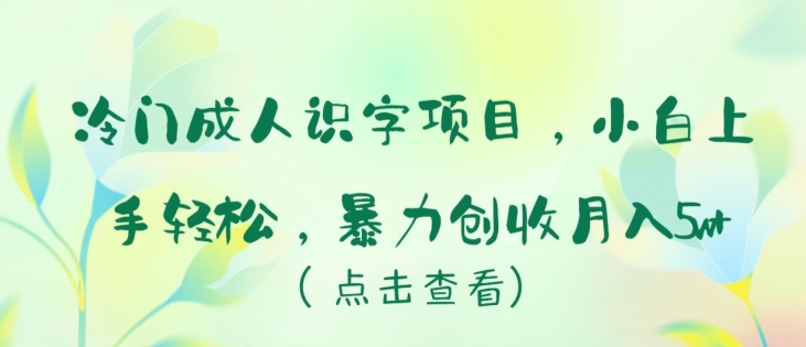 冷门成人识字项目，小白上手轻松，暴力创收月入5w+-优优云网创