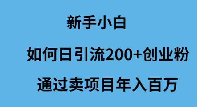 （9668期）新手小白如何日引流200+创业粉通过卖项目年入百万-优优云网创