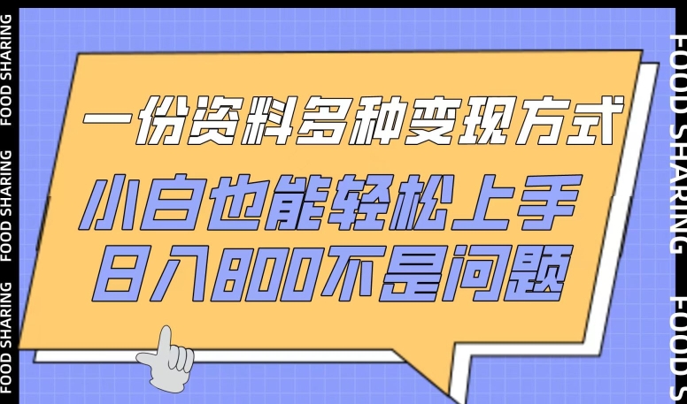 一份资料多种变现方式，小白也能轻松上手，日入800不是问题-优优云网创