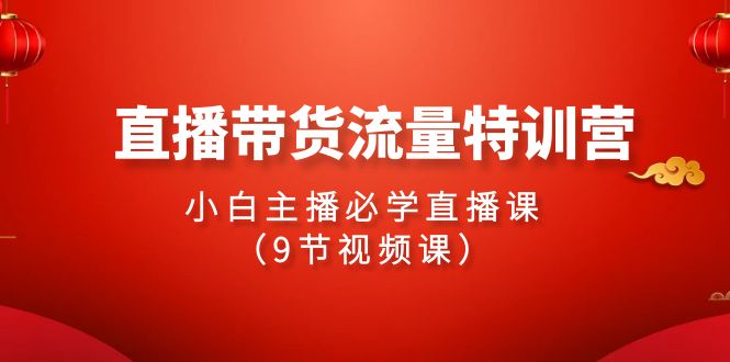 2024直播带货流量特训营，小白主播必学直播课（9节视频课）-优优云网创