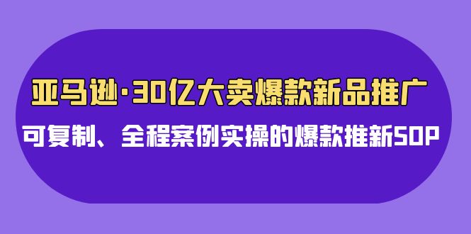 亚马逊30亿大卖爆款新品推广，可复制、全程案例实操的爆款推新SOP-优优云网创