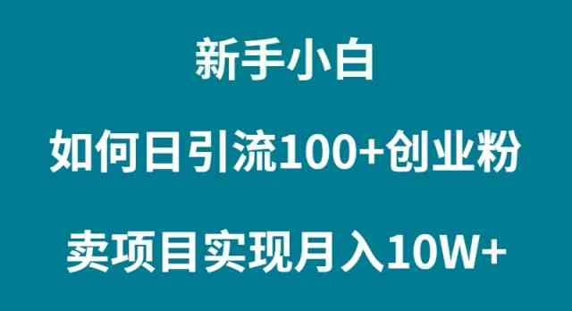 （9556期）新手小白如何通过卖项目实现月入10W+-优优云网创