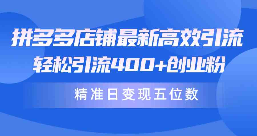 （10041期）拼多多店铺最新高效引流术，轻松引流400+创业粉，精准日变现五位数！-优优云网创