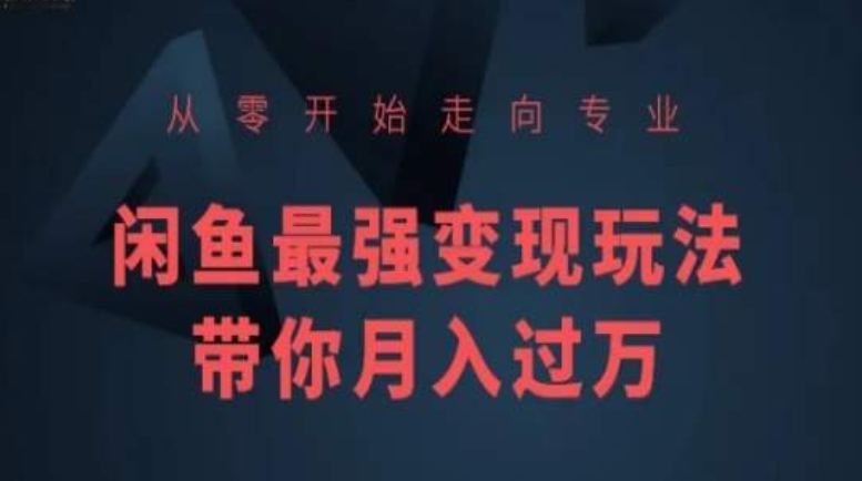 从零开始走向专业，闲鱼最强变现玩法带你月入过万-优优云网创