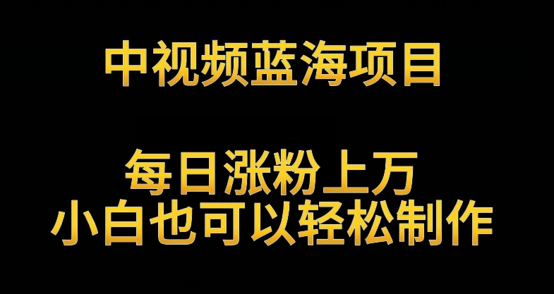 中视频蓝海项目，解读英雄人物生平，每日涨粉上万，小白也可以轻松制作，月入过万不是梦-优优云网创