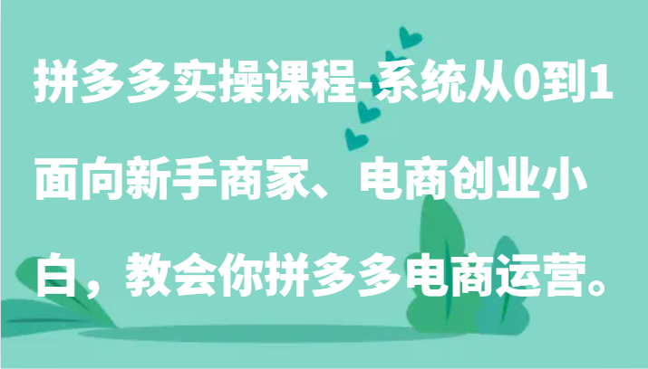 拼多多实操课程-系统从0到1，面向新手商家、电商创业小白，教会你拼多多电商运营。-优优云网创