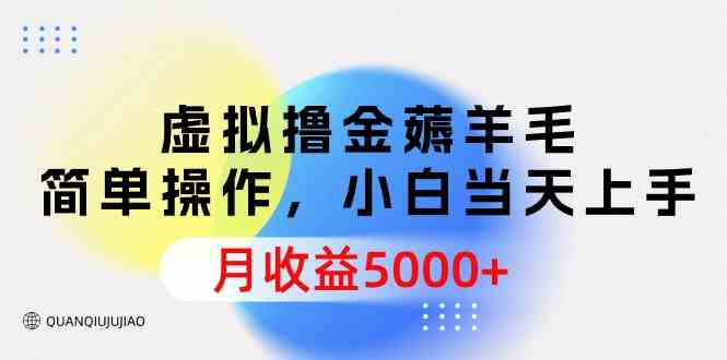（9864期）虚拟撸金薅羊毛，简单操作，小白当天上手，月收益5000+-优优云网创