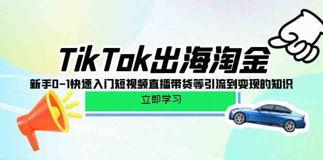 （10035期）TikTok-出海淘金，新手0-1快速入门短视频直播带货等引流到变现的知识-优优云网创