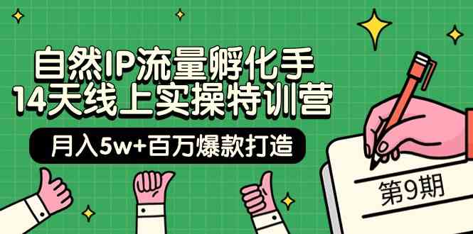 自然IP流量孵化手14天线上实操特训营【第9期】月入5w+百万爆款打造 (74节)-优优云网创