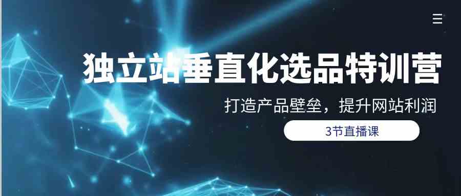 独立站垂直化选品训练营，打造产品壁垒，提升网站利润（3节直播课）-优优云网创