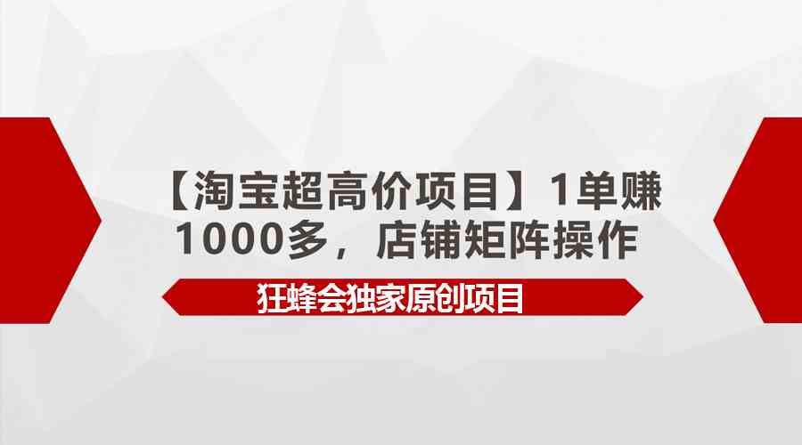 （9849期）【淘宝超高价项目】1单赚1000多，店铺矩阵操作-优优云网创