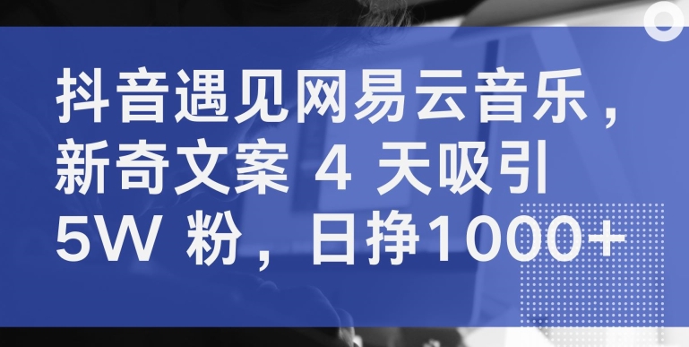 抖音遇见网易云音乐，新奇文案 4 天吸引 5W 粉，日挣1000+-优优云网创