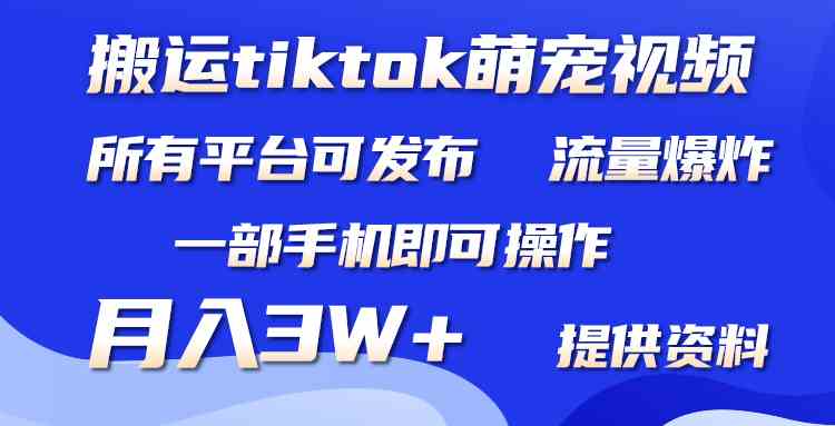 （9618期）搬运Tiktok萌宠类视频，一部手机即可。所有短视频平台均可操作，月入3W+-优优云网创