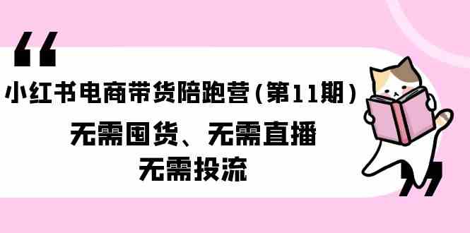 （9996期）小红书电商带货陪跑营(第11期)无需囤货、无需直播、无需投流（送往期10套）-优优云网创