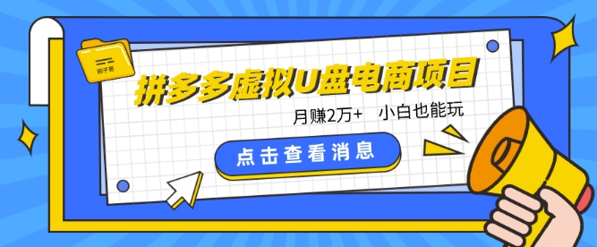 拼多多虚拟U盘电商红利项目：月赚2万+，新手小白也能玩-优优云网创