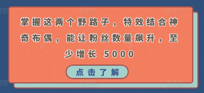 掌握这两个野路子，特效结合神奇布偶，能让粉丝数量飙升，至少增长 5000-优优云网创